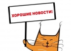 Нужны деньги Вам СЮДА