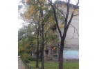 Сдам хорошую комнату.
