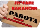 Промоутер